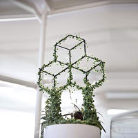GPT002 Wintereiee Shaped Plant Trellis for DIY Potted Climbing Plants Support